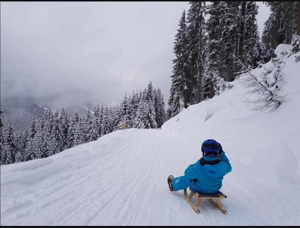 Lieblingsplatz - Ski In Und Ski Out See Luaran gambar