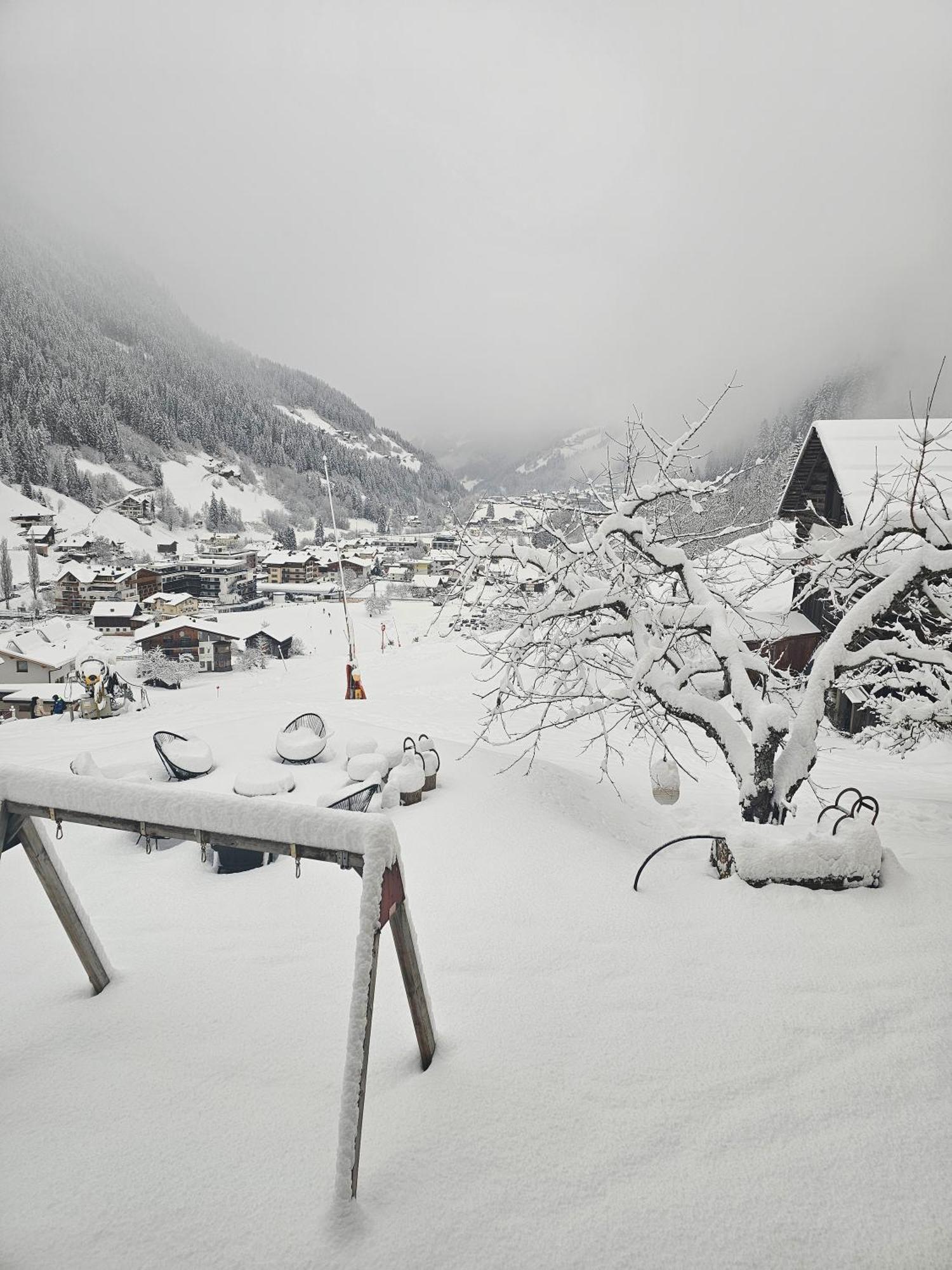 Lieblingsplatz - Ski In Und Ski Out See Luaran gambar